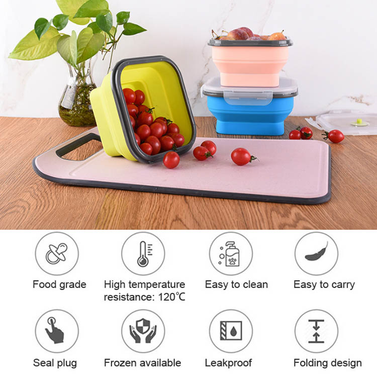 eco friendly lunch box